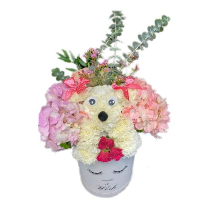 ROSES BOX DOG